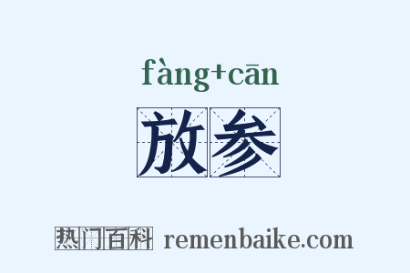 放参是什么意思的图片